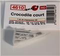 Crocodile court