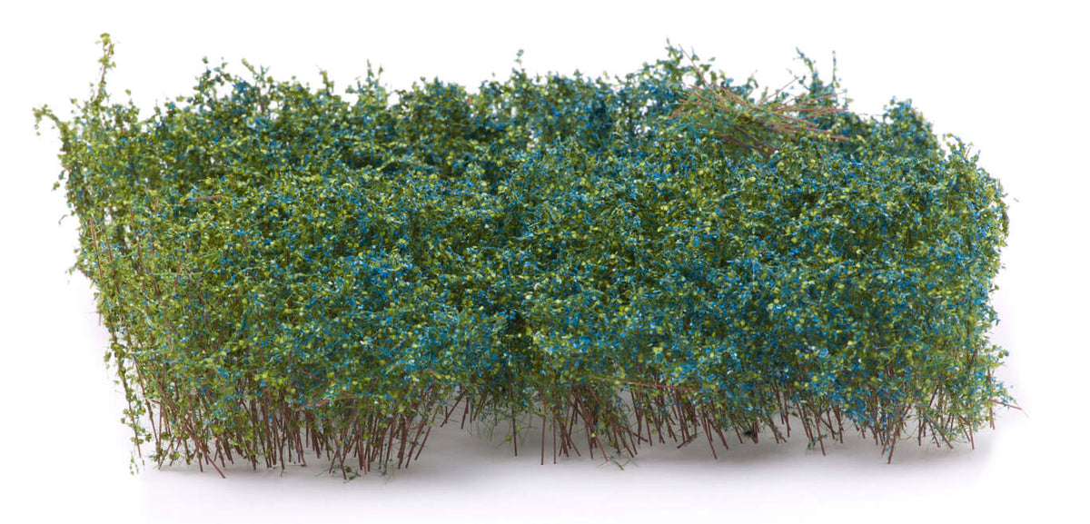 Arbustes pour haie, floraison bleue, 3-4 cm