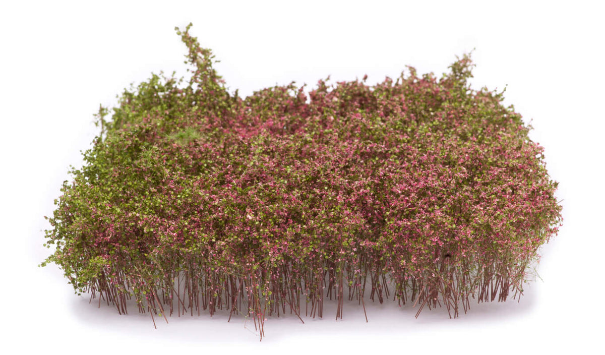 Arbustes pour haie, floraison violette, 3-4 cm