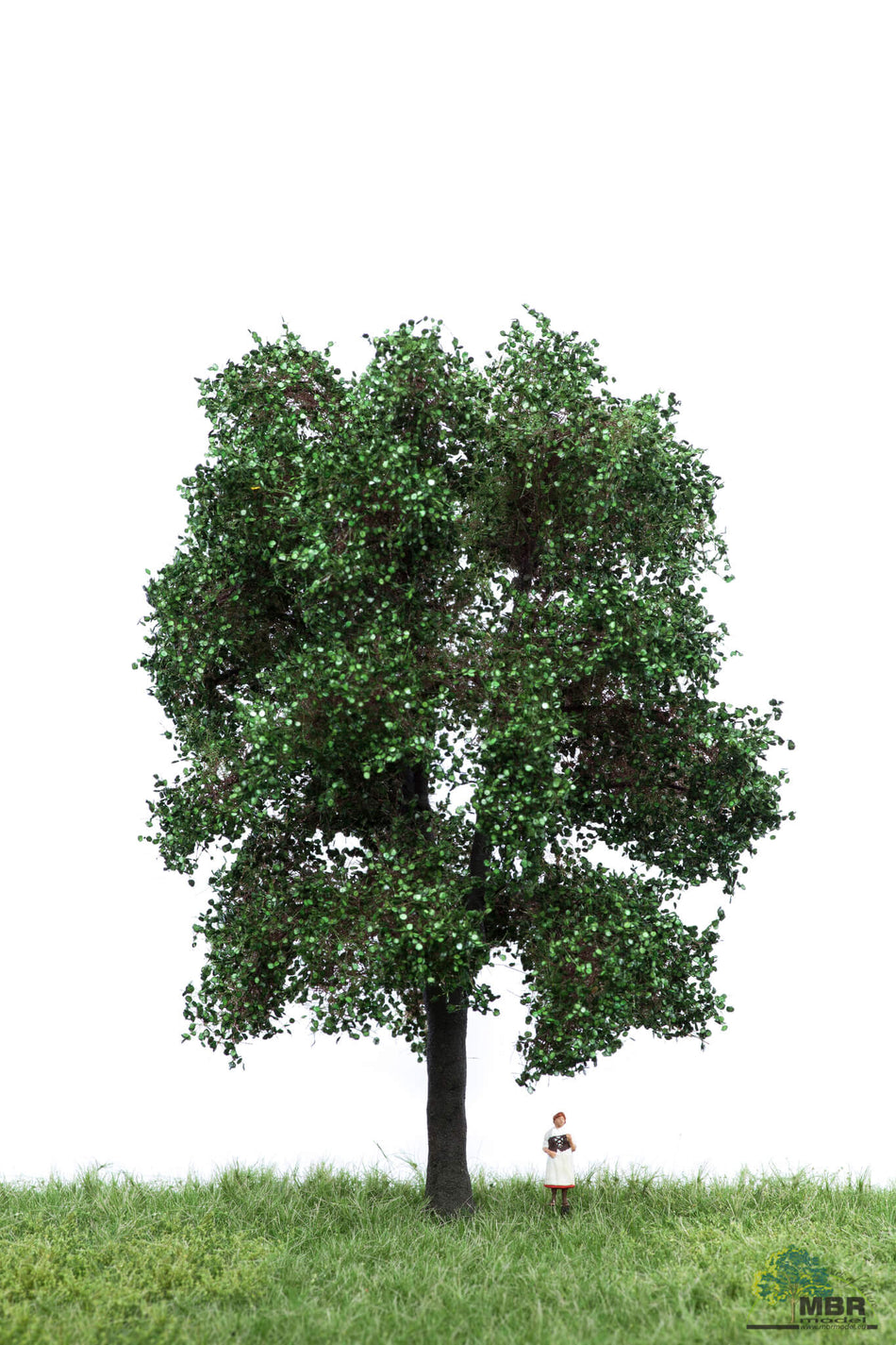 Marronnier en été