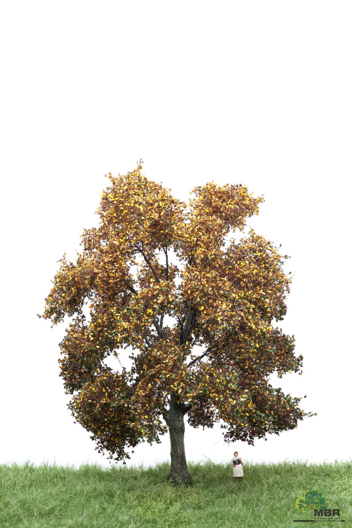 Chêne en automne
