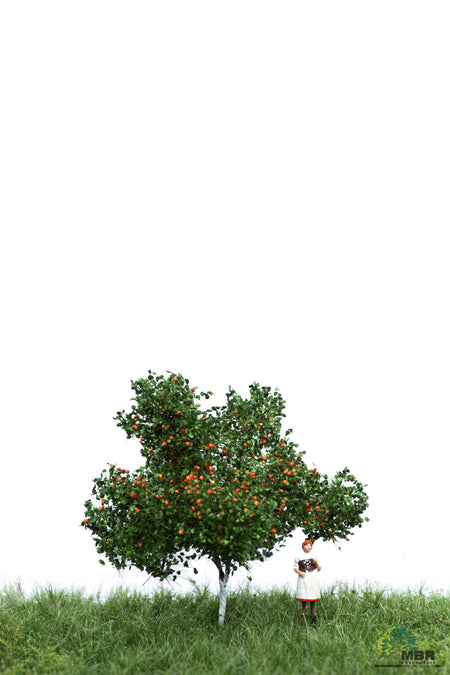 Pommier avec fruits en été