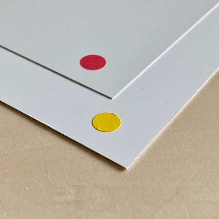 Carte plastique 200x350 mm 4.5/10ème