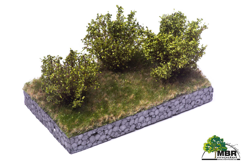 Petit buisson vert clair, 3-4 cm