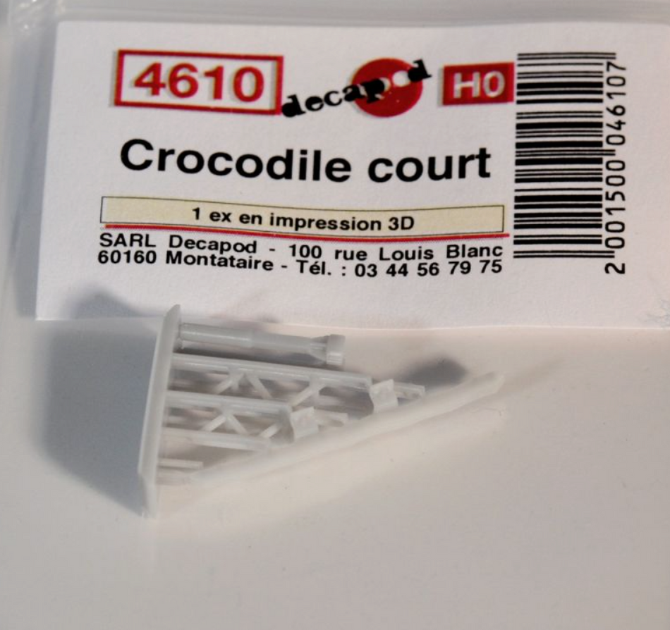 Crocodile court