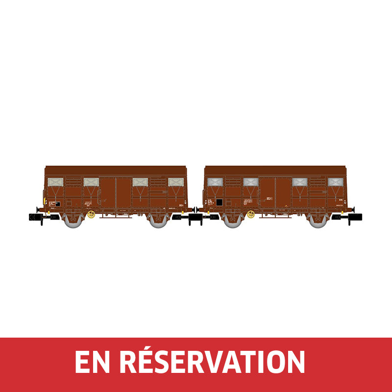 Coffret de 2 wagons Gs, livrée marron, dont un avec feux de fin de convoi, ép. IV, SNCF, éch. N