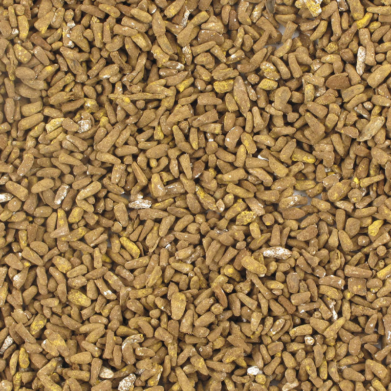 Betteraves sucrières