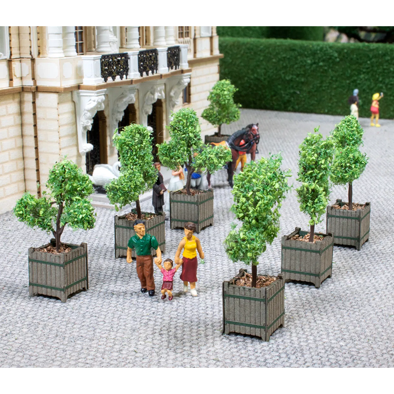 2 Arbres d'ornement en bacs