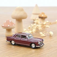 Véhicule Peugeot 404 - 1968 - Algue Brune