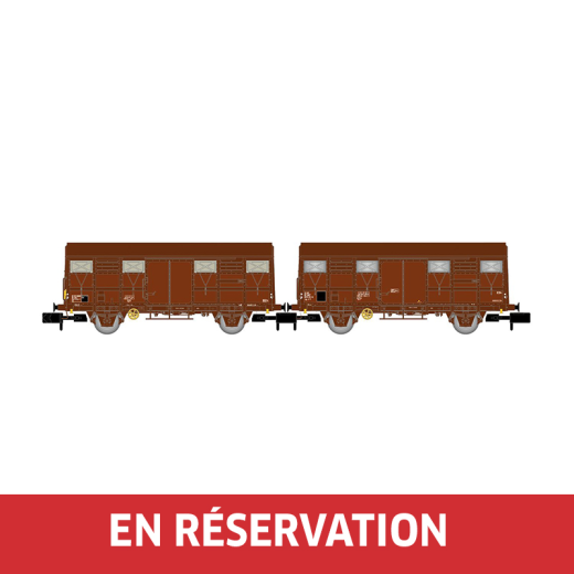 Coffret de 2 wagons Gs, livrée marron, dont un avec feux de fin de convoi, ép. IV, SNCF, éch. N