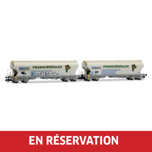 Coffret de 2 wagons-trémies céréaliers à 4 essieux, avec parois latérales bombées, « MILLET », livrée grise graffitis "Telefoot", ép. VI, F-MISA, éch. TT