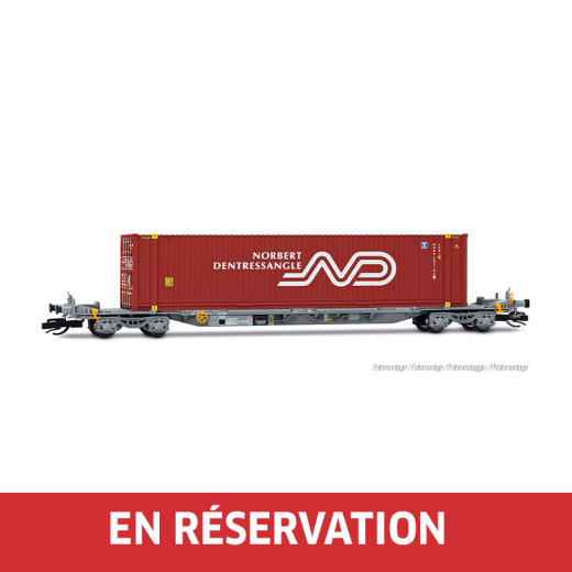 Wagon porte-conteneurs à 4 essieux, livrée grise, avec 1 conteneur de 45 pieds « Norbert Dentressangle », ép. VI, éch. TT