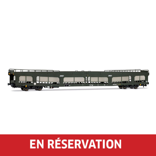 Wagon porte-autos DD DEV 66, livrée verte avec logo blanc « Encadré », ép. IV-V, SNCF