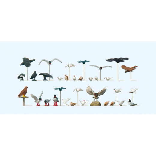 22 oiseaux : pigeons, mouettes, corneilles et oiseaux de proie - H0 - Preiser