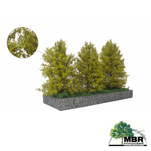 Grand buisson vert clair 7-11 cm