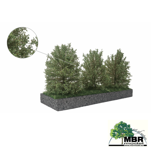 Grand buisson vert blanc 7-11 cm