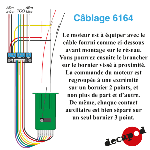 Borniers pour moteurs Tortoise-1