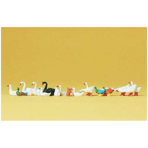 Canards, oies et cygnes - H0 - Preiser