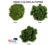 Fibres Static Grass 2 mm - Automne - Sachet 100g-2