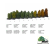 Grand buisson vert foncé 7-11 cm-1