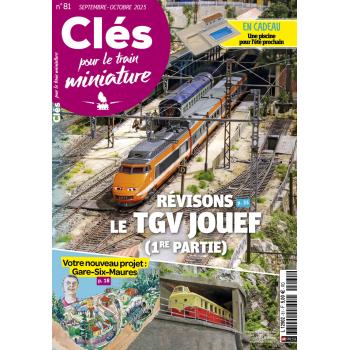 Clés pour le train miniature n° 81