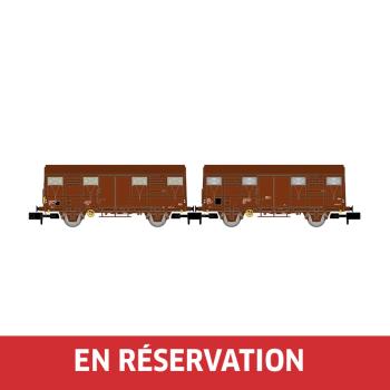 Coffret de 2 wagons Gs, livrée marron, dont un avec feux de fin de convoi, ép. IV, SNCF, éch. N