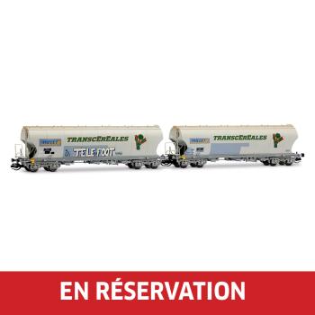 Coffret de 2 wagons-trémies céréaliers à 4 essieux, avec parois latérales bombées, « MILLET », livrée grise graffitis "Telefoot", ép. VI, F-MISA, éch. TT
