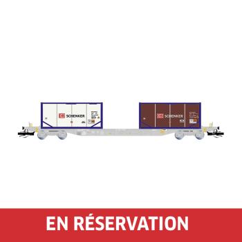 Wagon porte-conteneurs à 4 essieux, livrée grise, avec 2 citernes de 20 pieds « DB SCHENKER », ép. VI, éch. TT