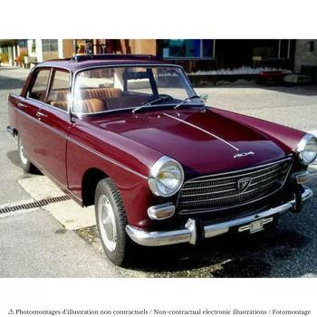 Véhicule Peugeot 404 - 1968 - Algue Brune