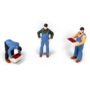 3 manutentionnaires chargeant / déchargeant des cageots