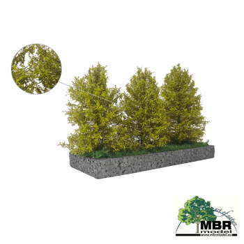 Grand buisson vert clair, 7-11 cm