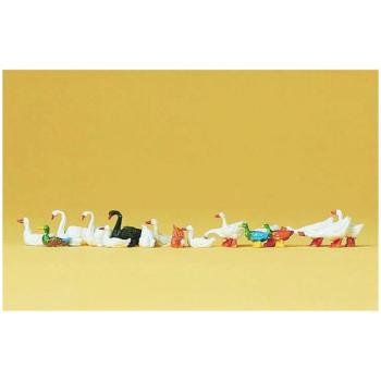 Canards, oies et cygnes - H0 - Preiser