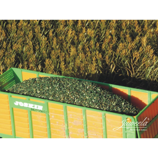 Ensilage de mais vert (0)-1