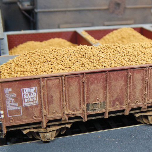 Pommes de terre-3