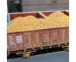 Pommes de terre-3