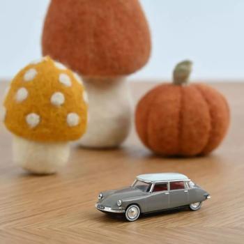 Véhicule Citroën DS19 - 1959 - Marron glacé