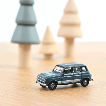 Véhicule Renault 4 Clan - 1986 - Vert séquoia